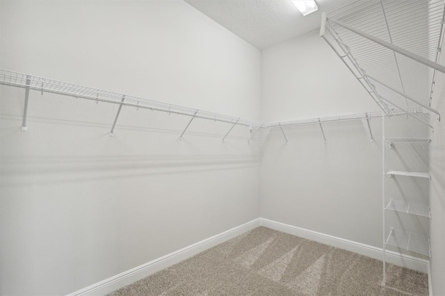 spacious closet with carpet floors and vaulted ceiling