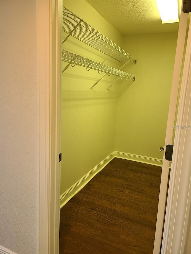 walk in closet with dark hardwood / wood-style floors