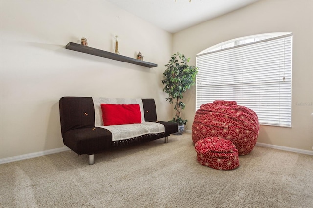 sitting room featuring carpet flooring