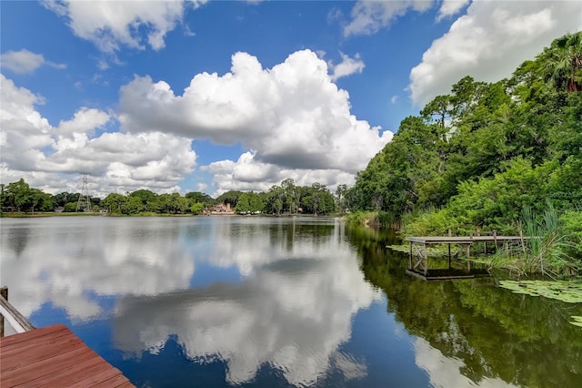 dock area featuring a water view