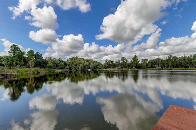 property view of water