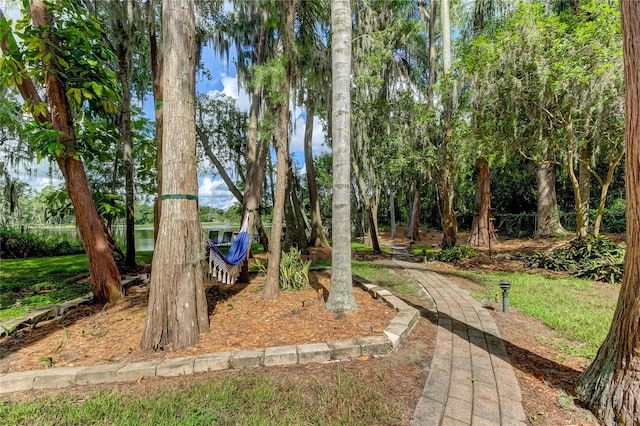 view of yard featuring a water view