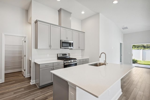 kitchen with appliances with stainless steel finishes, high vaulted ceiling, dark hardwood / wood-style flooring, and sink