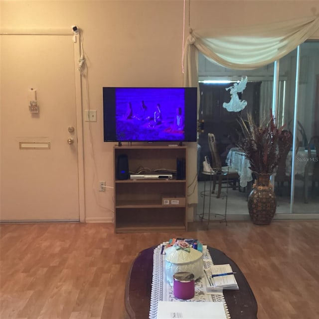 living room featuring wood-type flooring