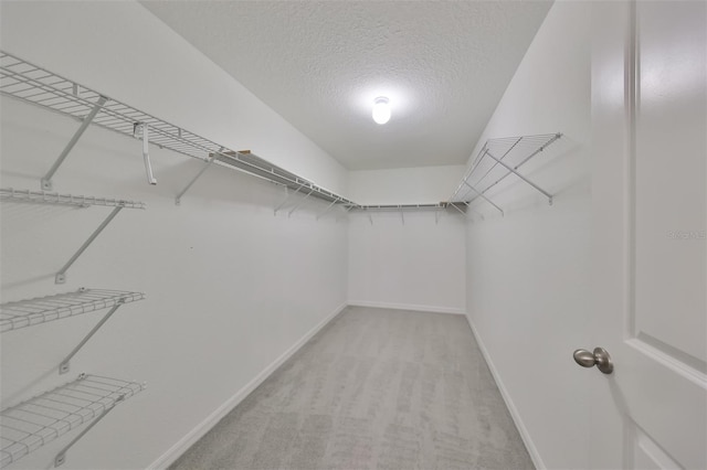 spacious closet featuring carpet flooring