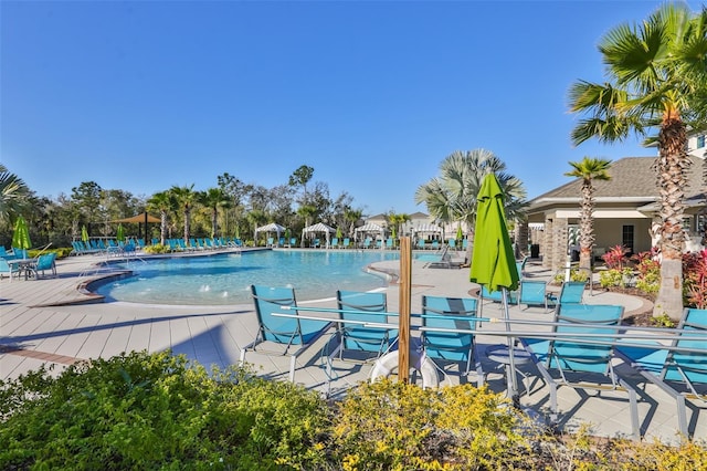 view of swimming pool with a patio area