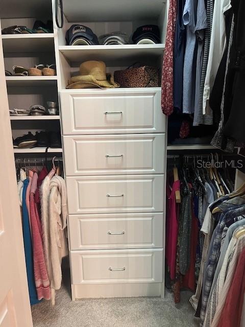 spacious closet featuring carpet floors