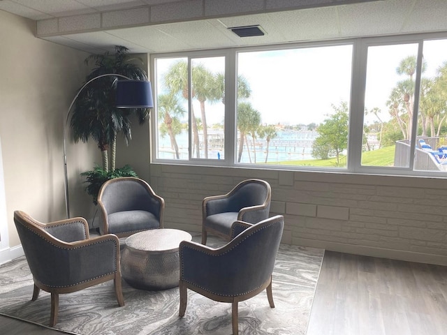 living area featuring a healthy amount of sunlight and wood-type flooring