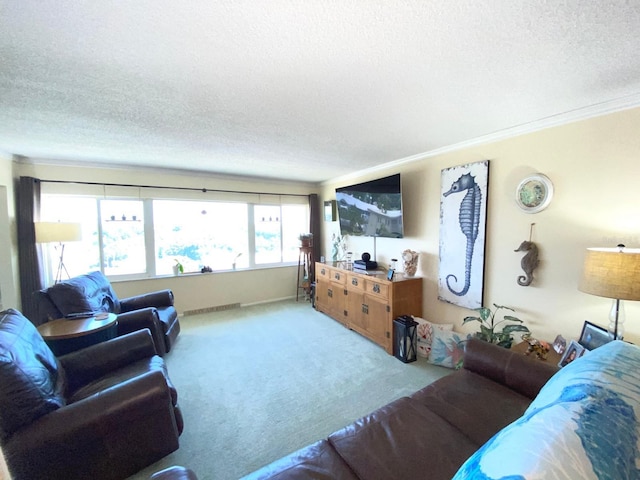 living room featuring ornamental molding, a textured ceiling, and carpet floors