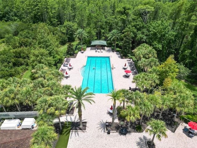 19300 Lonesome Pine Dr, Land O Lakes, FL 34638 - community pool featuring a patio area