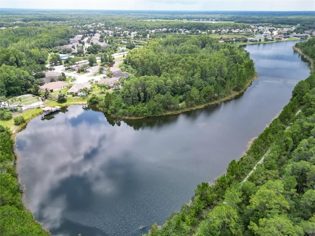 19300 Lonesome Pine Dr, Land O Lakes, FL 34638 - bird's eye view featuring a water view