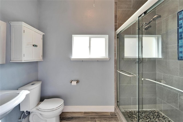 19300 Lonesome Pine Dr, Land O Lakes, FL 34638 - bathroom featuring toilet, plenty of natural light, a shower stall, and baseboards