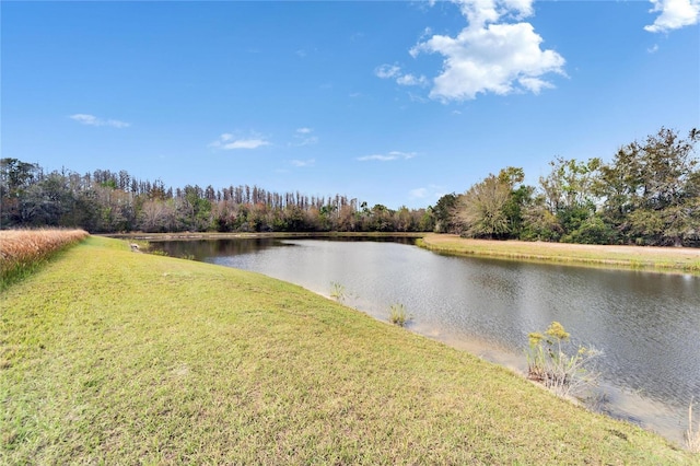 19300 Lonesome Pine Dr, Land O Lakes, FL 34638 - water view