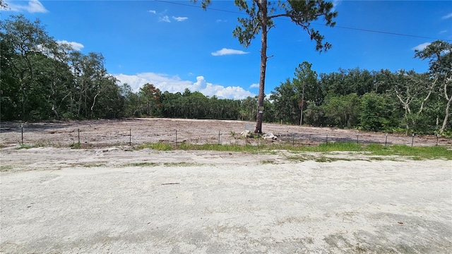 Listing photo 3 for 35391 Overcup Dr, Webster FL 33597