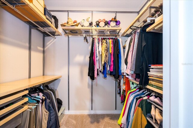 walk in closet featuring carpet