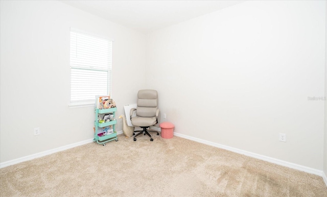 sitting room with carpet floors