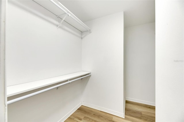 walk in closet with light wood finished floors