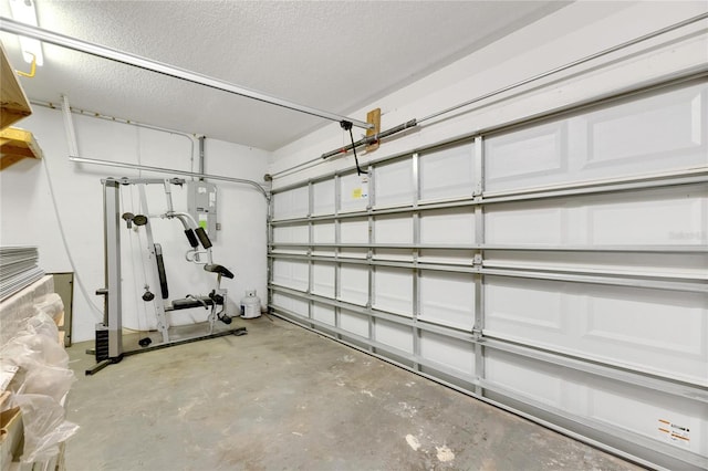 garage with electric panel