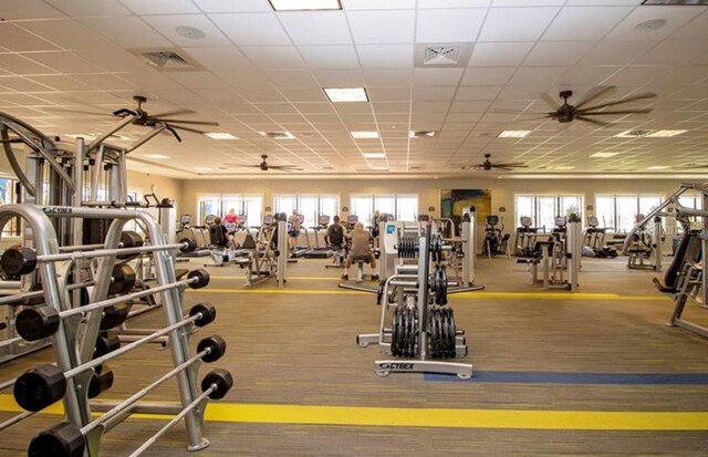 workout area featuring a drop ceiling, ceiling fan, and plenty of natural light