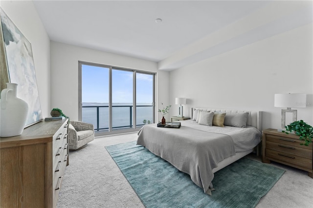 2910 W Barcelona St Unit 903, Tampa, FL 33629 - bedroom featuring light carpet and access to exterior