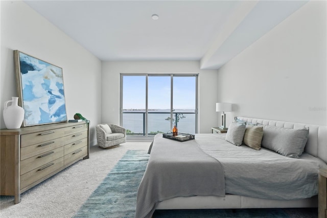 2910 W Barcelona St Unit 903, Tampa, FL 33629 - carpeted bedroom featuring a water view