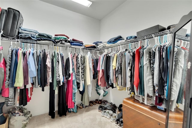 spacious closet featuring carpet flooring