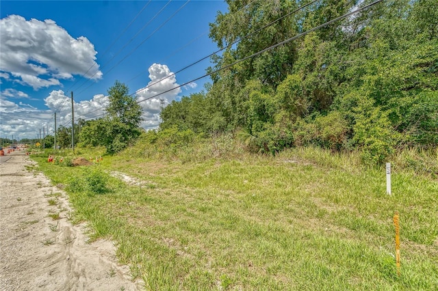 Listing photo 3 for Turkey Creek Rd, Plant City FL 33566