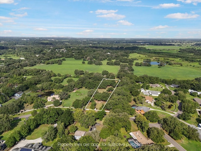 2514 Pemberton Creek Dr, Seffner, FL 33584 - photo 4