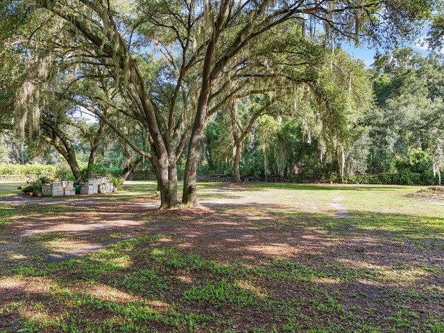 2514 Pemberton Creek Dr, Seffner, FL 33584 - photo 10