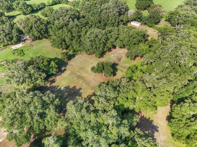 2514 Pemberton Creek Dr, Seffner, FL 33584 - photo 16