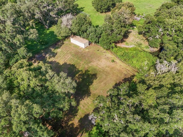 2514 Pemberton Creek Dr, Seffner, FL 33584 - photo 17