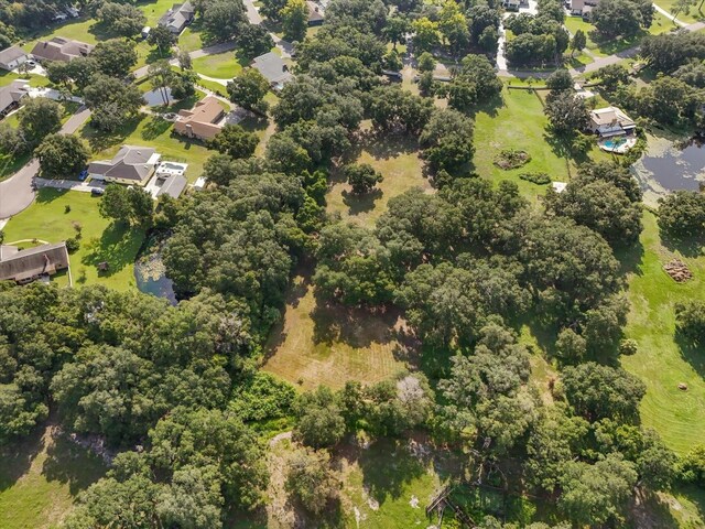 2514 Pemberton Creek Dr, Seffner, FL 33584 - photo 18