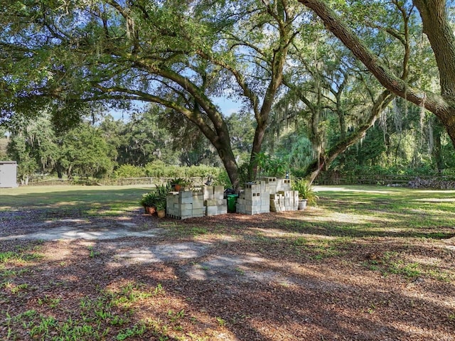 2514 Pemberton Creek Dr, Seffner, FL 33584 - photo 21