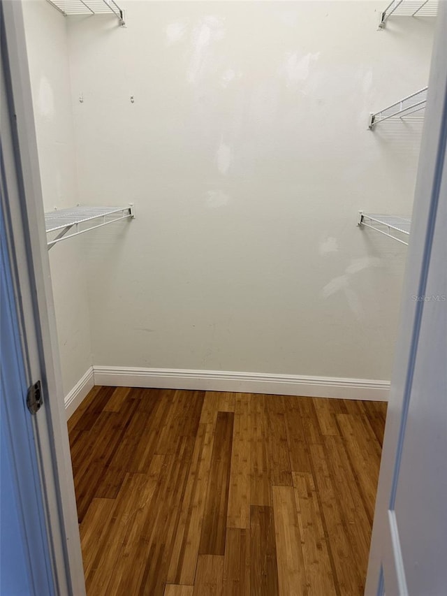 walk in closet with hardwood / wood-style floors