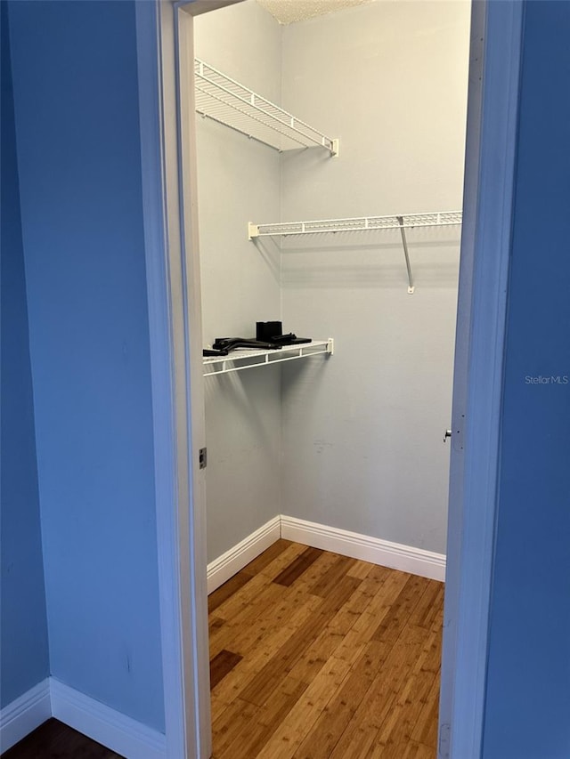 spacious closet featuring hardwood / wood-style flooring