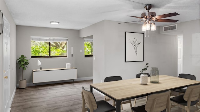 dining space with a textured ceiling and light hardwood / wood-style flooring