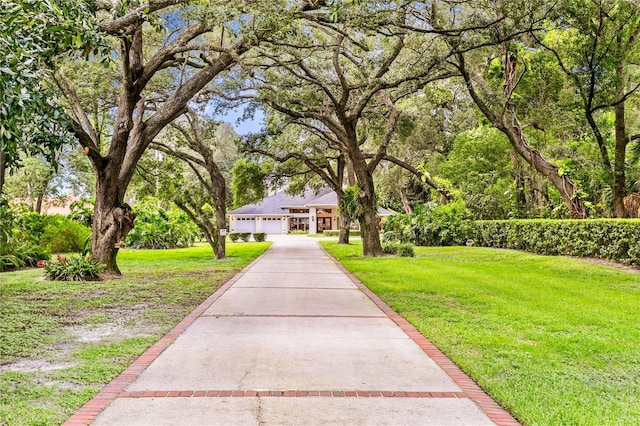 view of front of home with a front yard