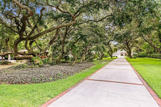 surrounding community featuring a lawn