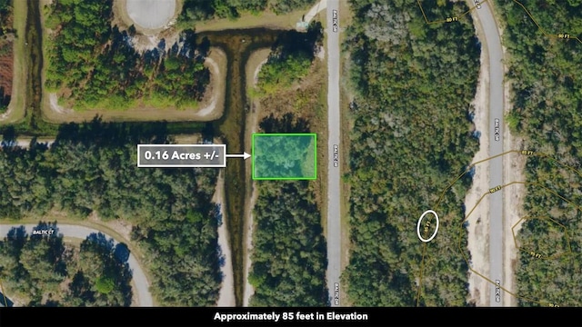 1269 Baltic Dr, Kissimmee, FL 34759 - photo 8