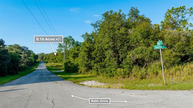 1269 Baltic Dr, Kissimmee, FL 34759 - photo 11