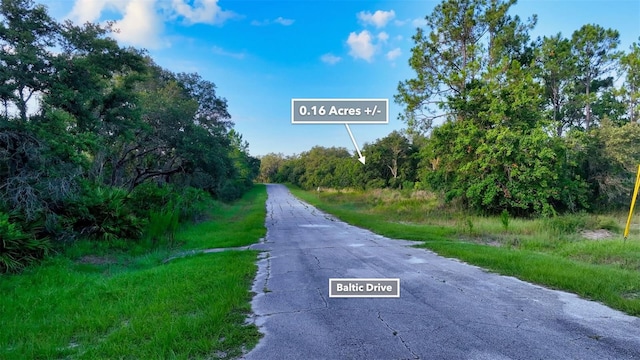 1269 Baltic Dr, Kissimmee, FL 34759 - photo 12