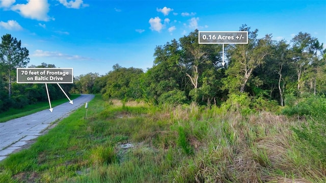 1269 Baltic Dr, Kissimmee, FL 34759 - photo 15