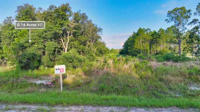 1269 Baltic Dr, Kissimmee, FL 34759 - photo 16
