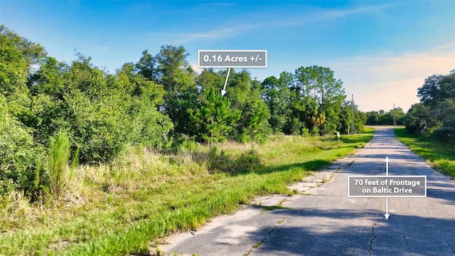 1269 Baltic Dr, Kissimmee, FL 34759 - photo 17