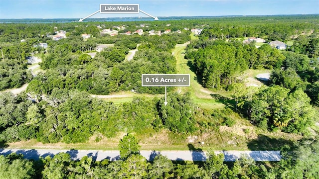 1269 Baltic Dr, Kissimmee, FL 34759 - photo 18