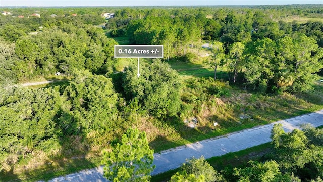 1269 Baltic Dr, Kissimmee, FL 34759 - photo 19