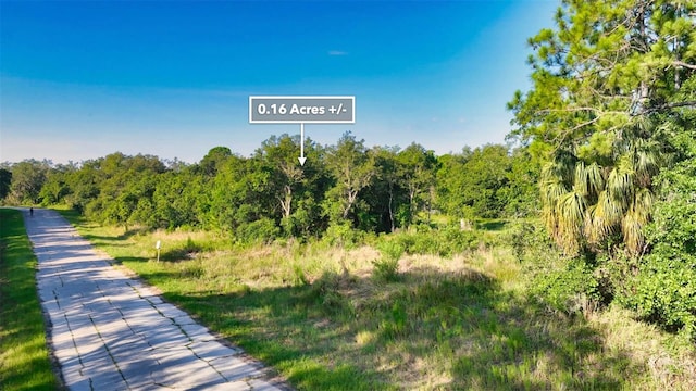 1269 Baltic Dr, Kissimmee, FL 34759 - photo 20