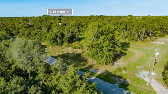 1269 Baltic Dr, Kissimmee, FL 34759 - photo 21