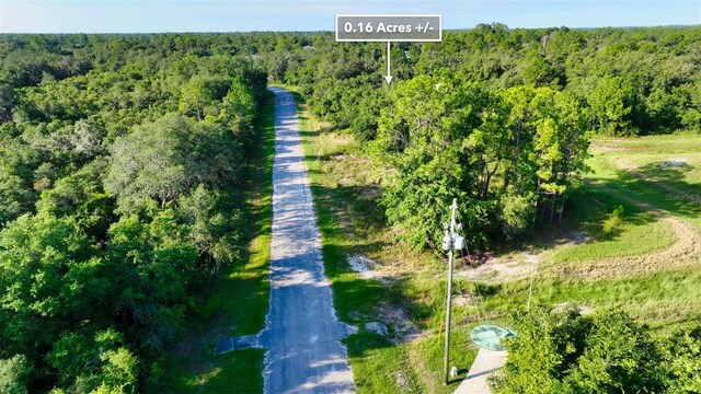 1269 Baltic Dr, Kissimmee, FL 34759 - photo 22
