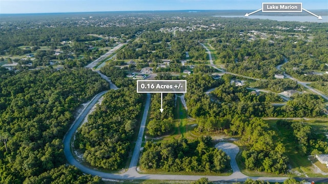 1269 Baltic Dr, Kissimmee, FL 34759 - photo 26